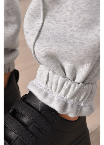 Спортивні жіночі штани на флісі сірого кольору Let's Shop (369445339)