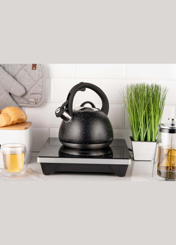 Чайник Gemini, 2.5л, нержавіюча сталь, Ardesto (314779780)