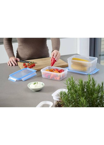 Набір контейнерів Master Seal 1 л 3шт (N1031351) Tefal (324744587)