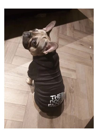 Кофта для собак с капишоном M No Brand (362136132)