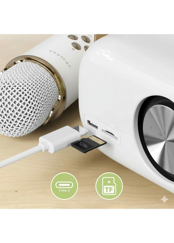 Акумуляторна караоке колонка з мікрофоном дитяча портативна Bluetooth колонка FM радіо (AA0472) Happy Home (381912105)