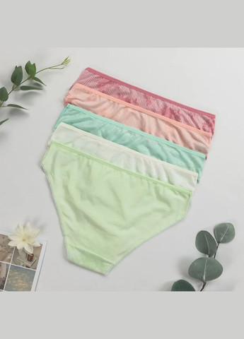 Набір трусиків жіночих 5 шт Nicoletta (304549572)