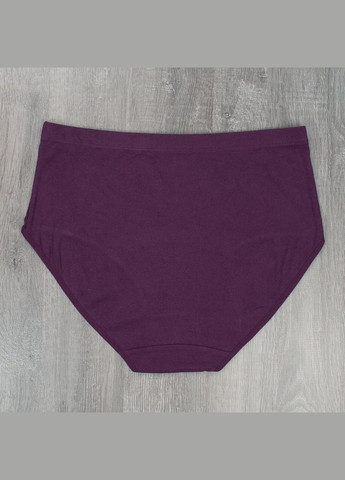 Труси великих розмірів із широкими боками набір 4 шт Lavolle Сліп (315723356)