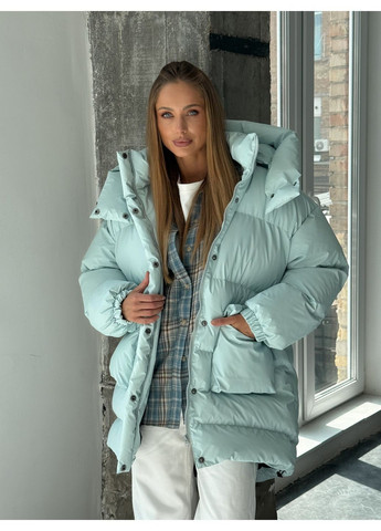 Голубой зимний Пуховик milirud