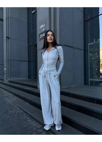 Жіночий велюровий спортивний костюм FINO Mode (359479250)