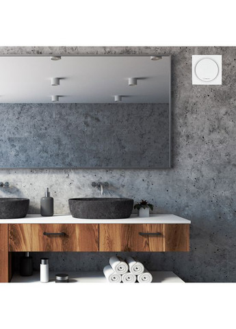 Вытяжной вентилятор RING 100 TW Turbionaire (323115968)