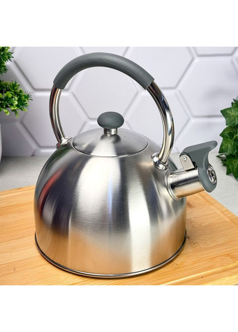 Чайник зі свистком нержавіюча сталь 2.5 л Grey Line RG-1010 Ringel (365815094)