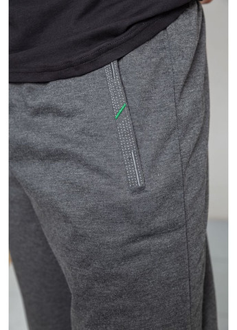 Темно-серые демисезонные брюки Ager