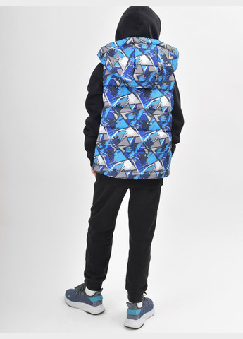 Дитячий демісезонний жилет X-Woyz (300369837)