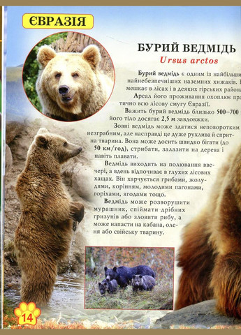 Світ навколо нас. Дикі тварини Кристал Бук (316081079)