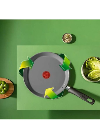 Сковорода для млинців Renewal 25 см Grey (C4283873) Tefal (307626499)