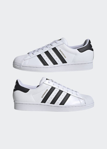 Кроссовки Superstar adidas белые всесезоны (272656906)
