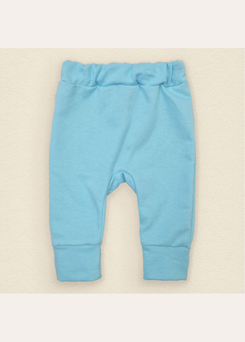 Штанці блакитні футер Panda dexter's (297440052)