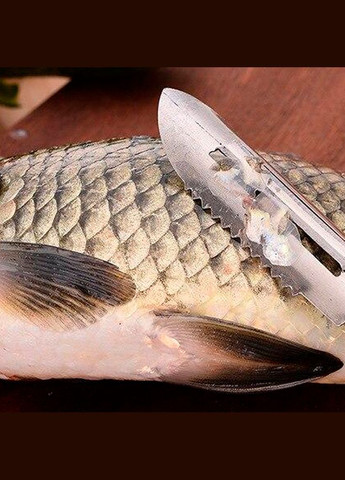 Нож для чистки чешуи с рыбы нержавеющая сталь 19 см 145555 No Brand (292111598)