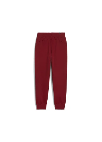 Штани ESS Sweatpants Puma (299307346)
