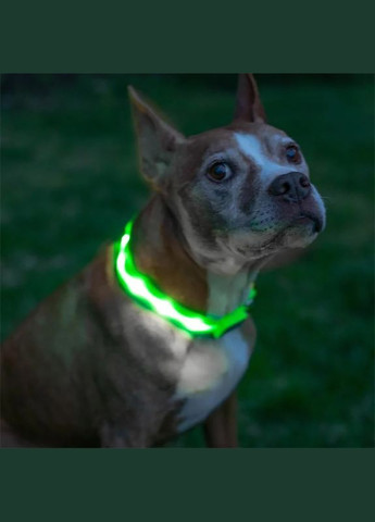 Світлодіодний Green S LED нашийник USB світний для собак і котів 3 шт. Lesko (352012615)