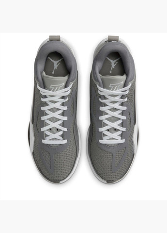 Сірі кросівки чоловічі tatum 1 grey dz3324-002 Air Jordan