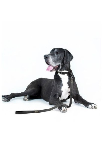 Повідець для собак (42121) Evolutor 210 см 25 мм чорний (366496861)