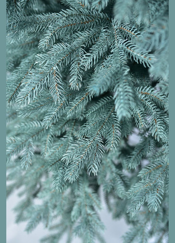 Штучна Ялинка Finska Smaragd з підставкою 2,5 м Sunlight (314765397)