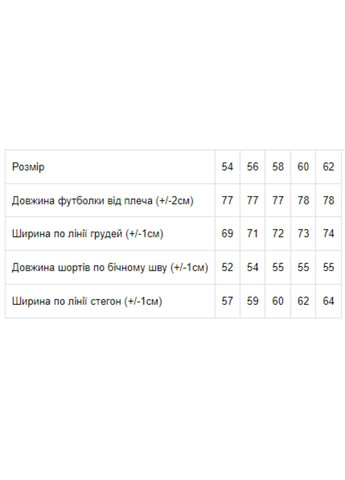 Світло-сірий літній комплект чоловічий (оверсайз) Носи своє 8194-057-33