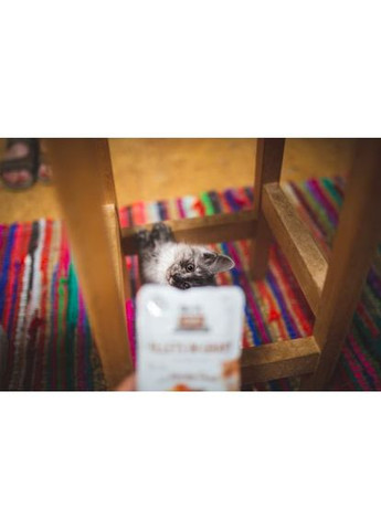 Влажный корм Cat Pouch для кошек, филе в соусе, утка, 85 г Brit Care (355255311)