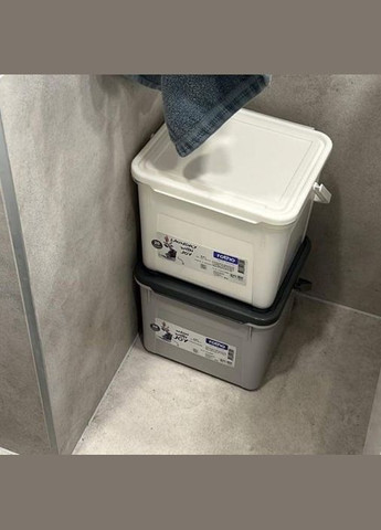 Контейнер для хранения Basic 3 кг, 4,5 л (17702) Rotho (334007328)