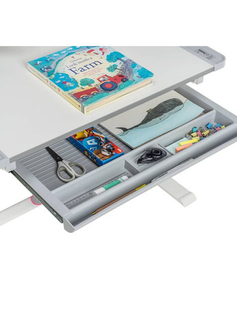 Детская парта-трансформер со стулом с жесткой фиксацией Lupin 800x505x547-727 мм Pink Cubby (353690692)