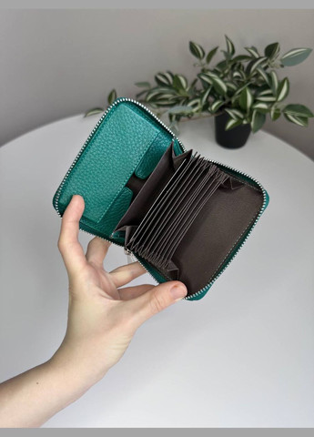 Жіночий картхолдер для 14 карток на блискавці Saralyn (297791663)