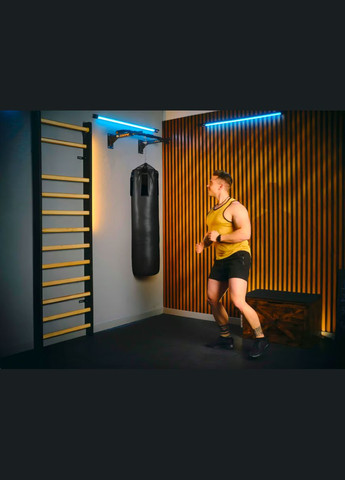 Турник настенный TX-030PB черный TREX Sport (341328036)