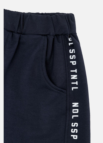 Штани спортивні для хлопчика колір темно-синій CB-00242948 Yuki (314909724)