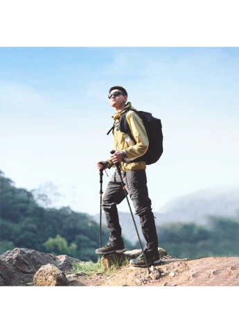 Трекінгові палиці CNK2450DS013 115-135 см black Naturehike (370666464)