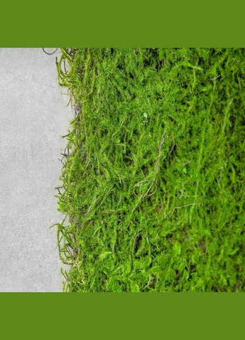 Декоративна панель зі штучної зелені Мох 40*90 см (9226-002) ELISEY (328087961)