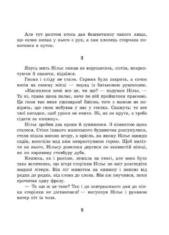 Удивительное путешествие Нильса с дикими гусями РАНОК (370059884)