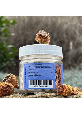 Гриб Агарик бразильский 60 капсул Лесовик Лісовик (364210591)