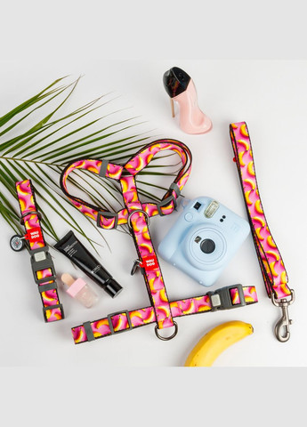 Шлей для собак анатомический H-образный Nylon с QR-паспортом, М, Ш 20 мм, А 40-70, В 50-80 WAUDOG (322642864)