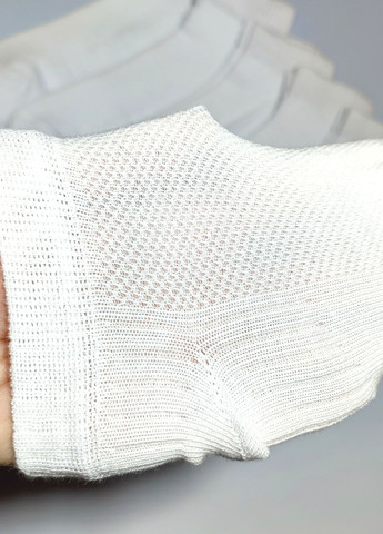 Носки детские в сетку хлопок 6 пар DL 708/6 Lomani (338434851)