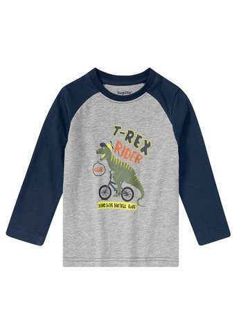 Комбінована демісезонна футболка+реглан Lupilu