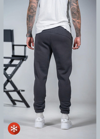 Серые зимние брюки Teamv