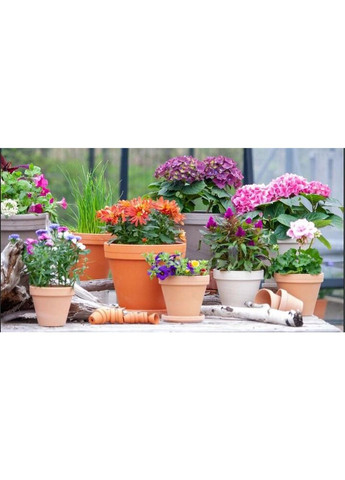 Комплект горшков классических (2+2) h12*d13*v0,9 котто керамика 2 шт. с подставками Spang (331782716)