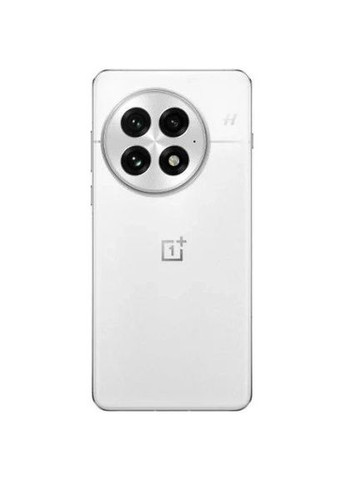 Смартфон 16/512GB Arctic Dawn OnePlus 13 (319534606)