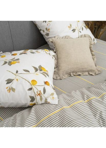 Комплект постільної білизни полуторний ранфорс 24317 100% бавовна Viluta (361971149)