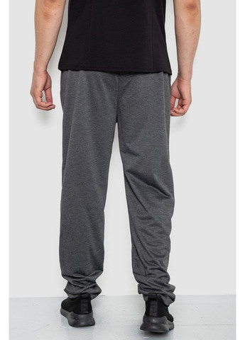 Темно-серые демисезонные брюки Ager