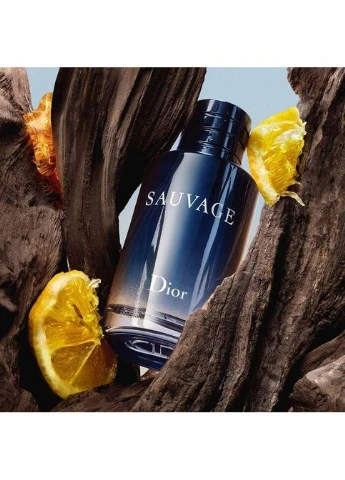 Парфумована вода для чоловіків Sauvage туалетна вода 100 мл Christian Dior (394982316)