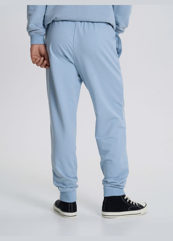 Серо-голубые повседневный демисезонные джоггеры брюки Роза