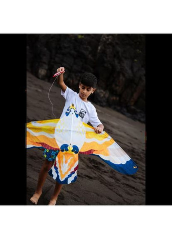 Воздушный Летающий Змей MFK 150 (Сова) от 3 лет Разноцветный ORAO (348117019)