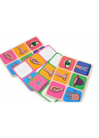 Детское лото "Органы чувств" 2279-UM 4 поля, 48 фишек УМНЯШКА (367966468)