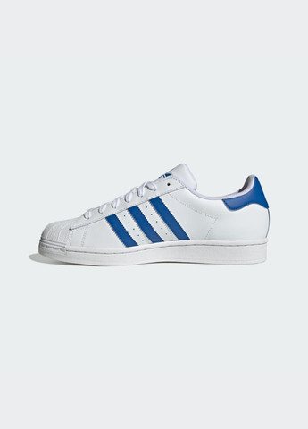 Белые летние кроссовки superstar adidas