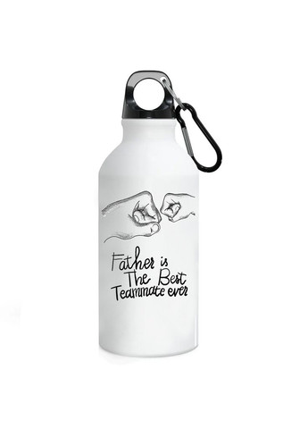 Фляга Для Папы (бутылка) для воды с карабином 500 мл Металлическая (Туристическая, Для кемпинга, Для спорта) #16 500 мл Белый No Brand (323639313)