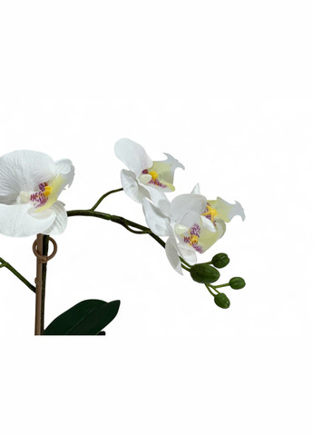 Искусственное растение в горшке. Орхидея IKEA FEJKA (322872923)