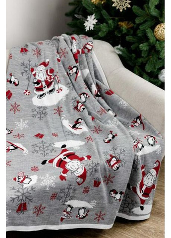 Плед Морозний Санта Різнокольоровий 90х130 см (7514) Прованс (362135282)